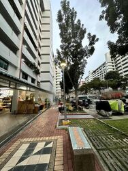 Hougang Avenue 1 (D19), Shop House #453536401